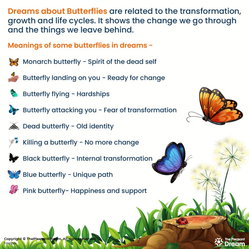 Dream about Butterfly - 33 Examples and Their Interpretations
