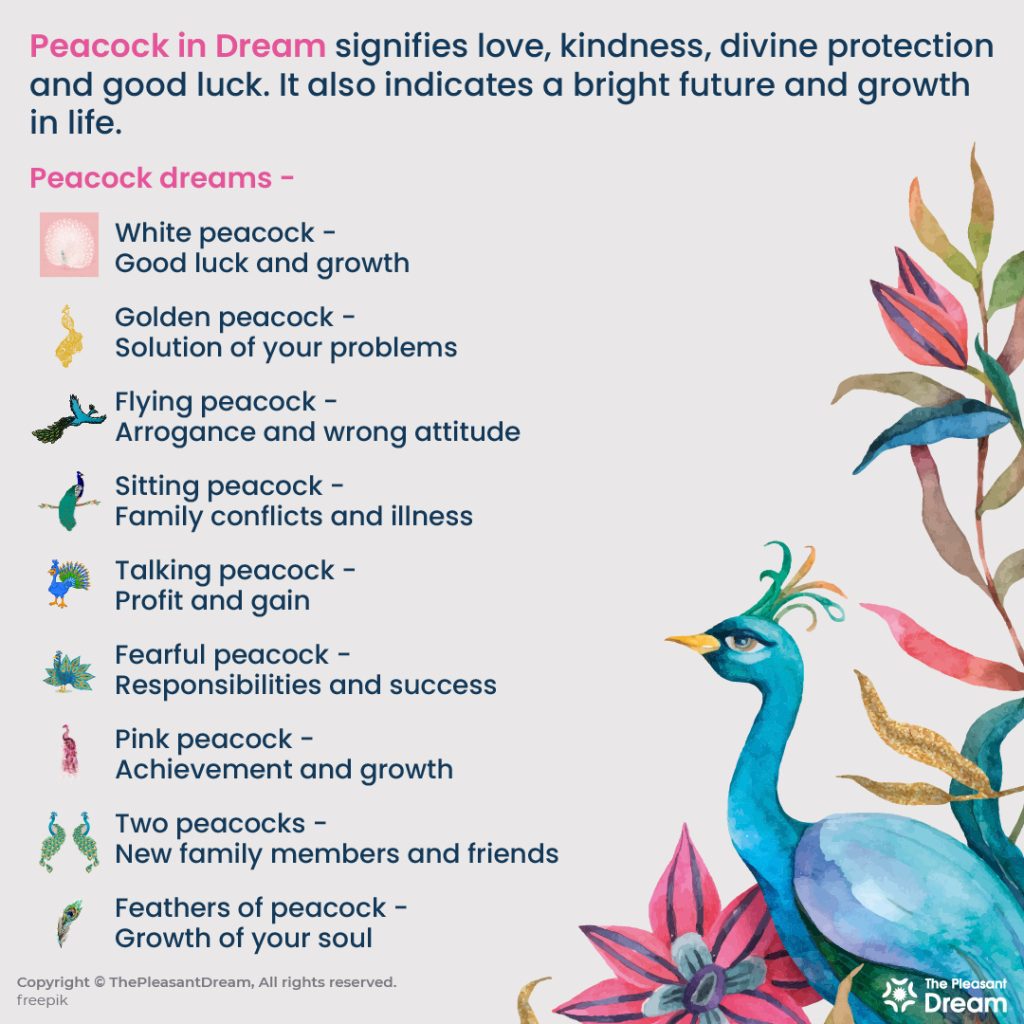 Peacock in Dream - 90 Types and Their Meanings