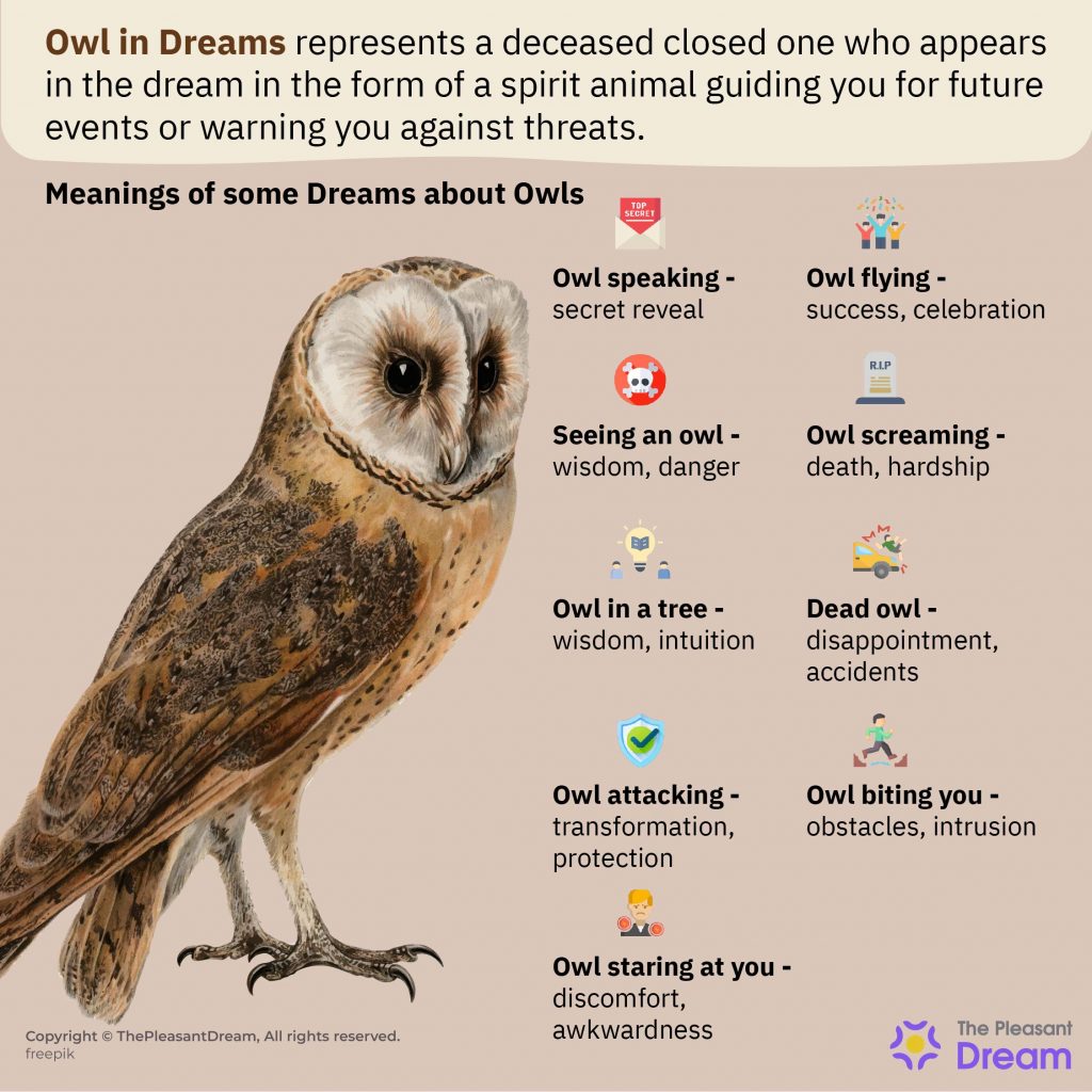 Owl in Dreams - 52 Types of Dreams Explained