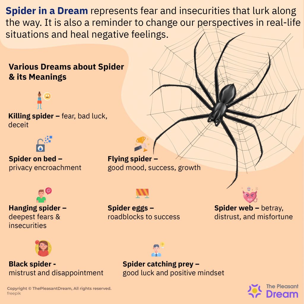 What Does It Mean When You Dream about Spiders?