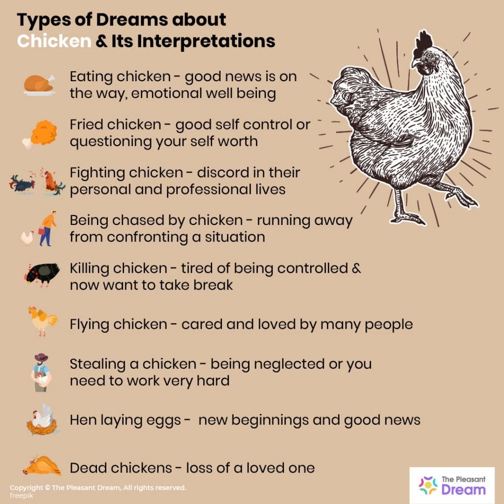 50-types-of-dream-of-chicken-and-their-meanings-thepleasantdream