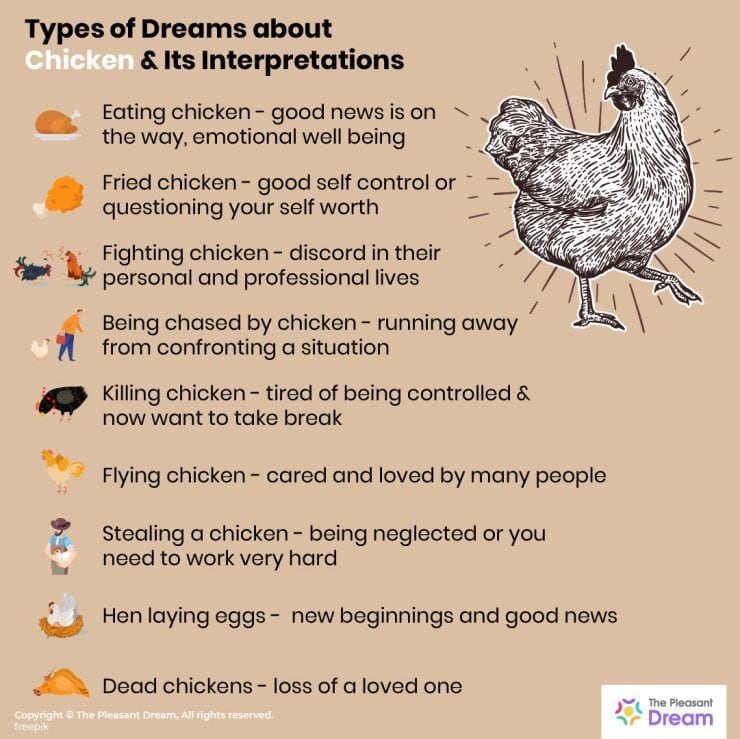 50 Types of Dream of Chicken and Their Meanings ThePleasantDream