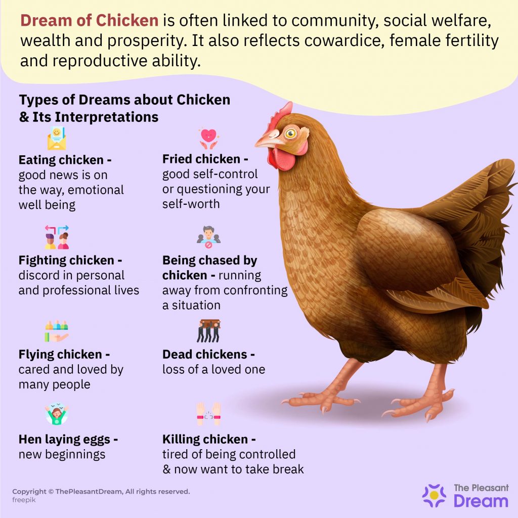 50 Types of Dream of Chicken and Their Meanings