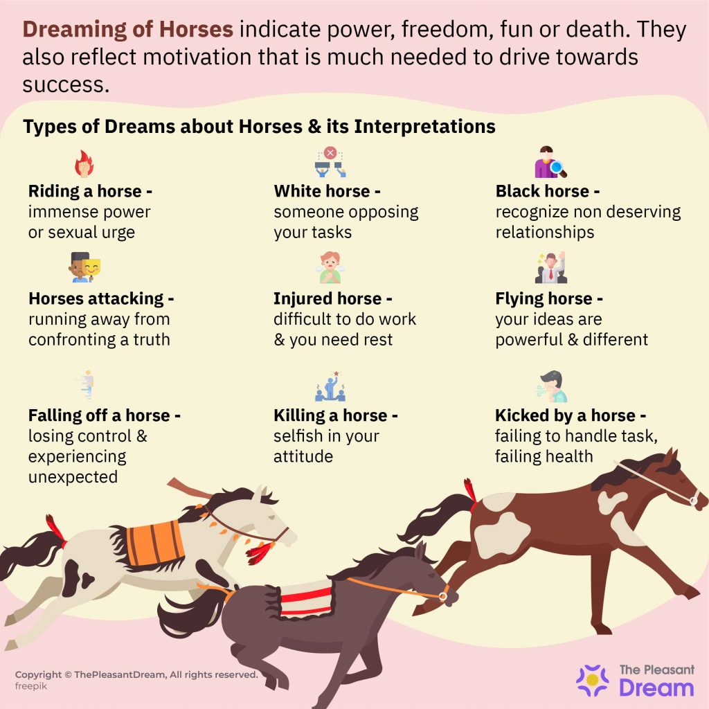 80 Types of Dreaming of Horses & Their Meanings