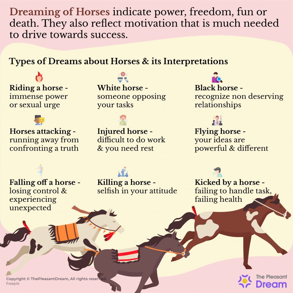 80 Types of Dreaming of Horses & Their Meanings ThePleasantDream