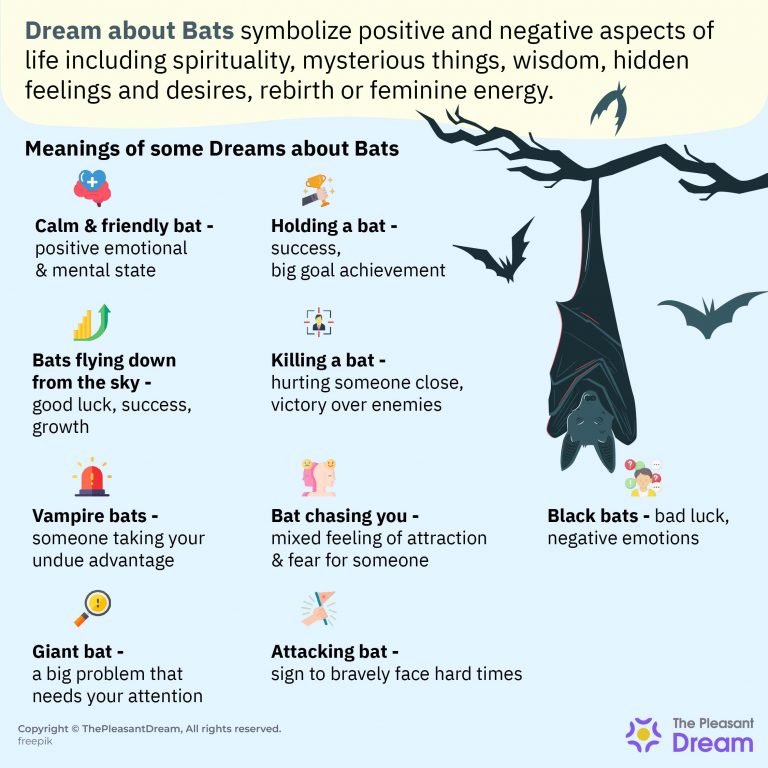 Dream about Bats Do They Carry Positive or Negative Signs?