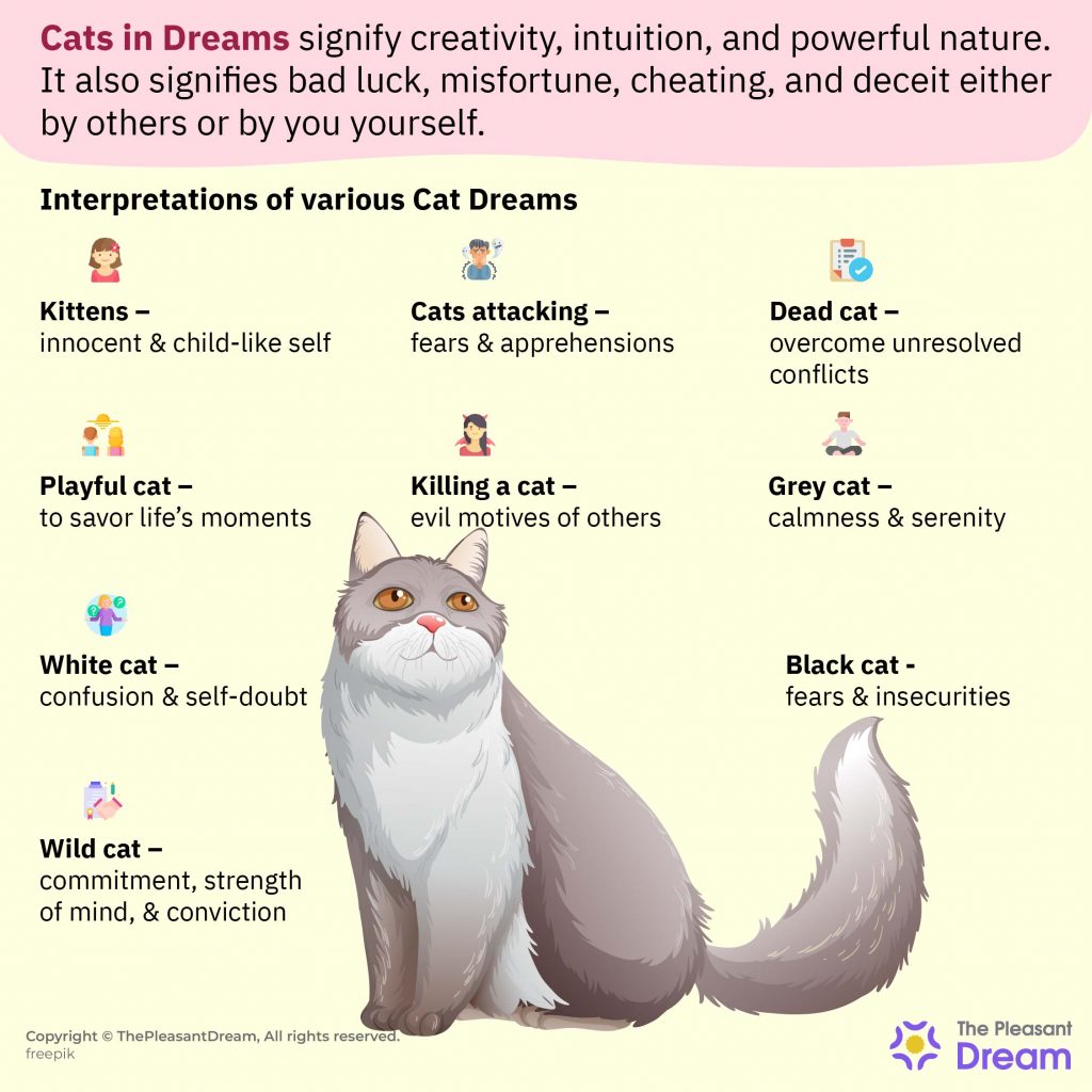 cat dream meaning bible