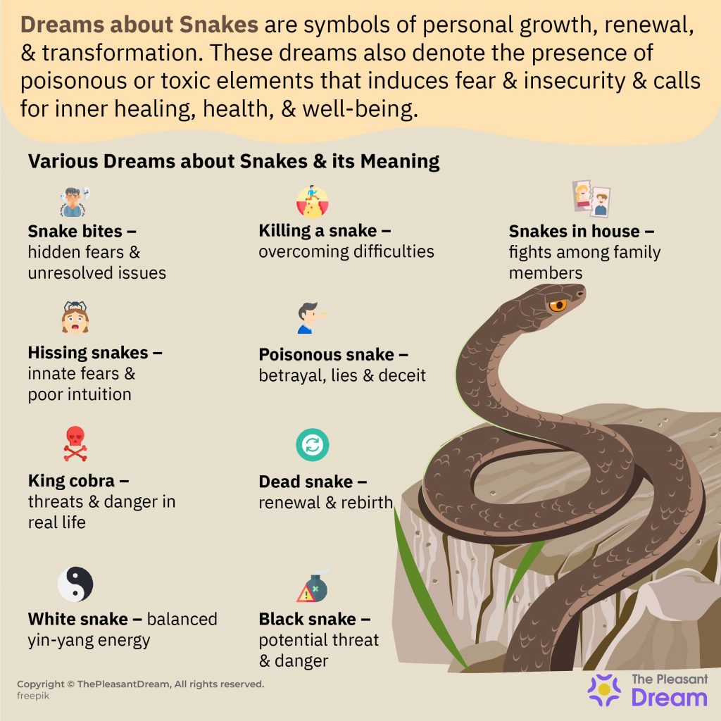 Dreams about Snakes - 60 Types & Their Meanings