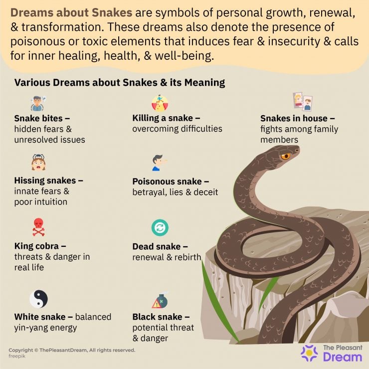 dreams-about-snakes-does-it-denotes-presence-of-toxic-elements-in-life