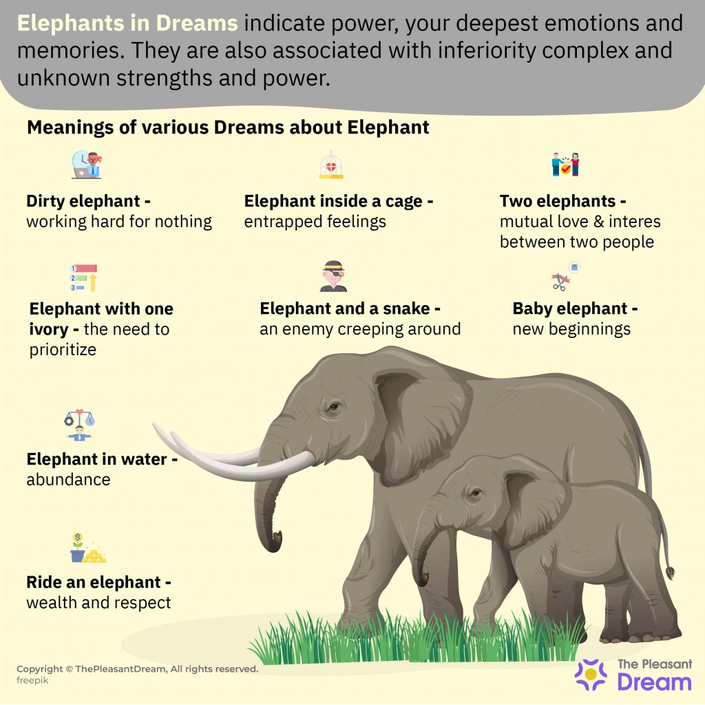 Elephants in Dreams - 94 Types & Their Meanings!