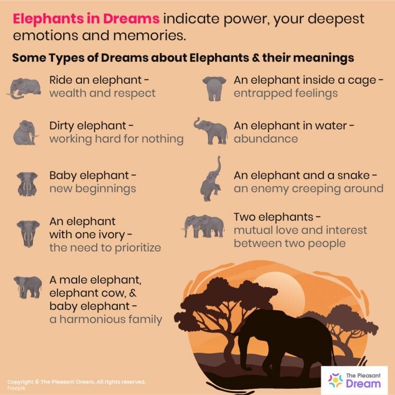 Elephants In Dreams 94 Types And Their Meanings Thepleasantdream 7931