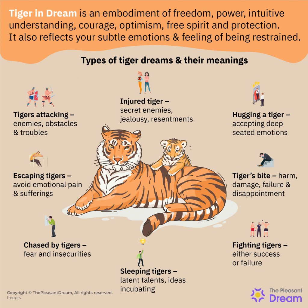 Tiger Dream Meaning – 40 Types of It & Their Interpretations