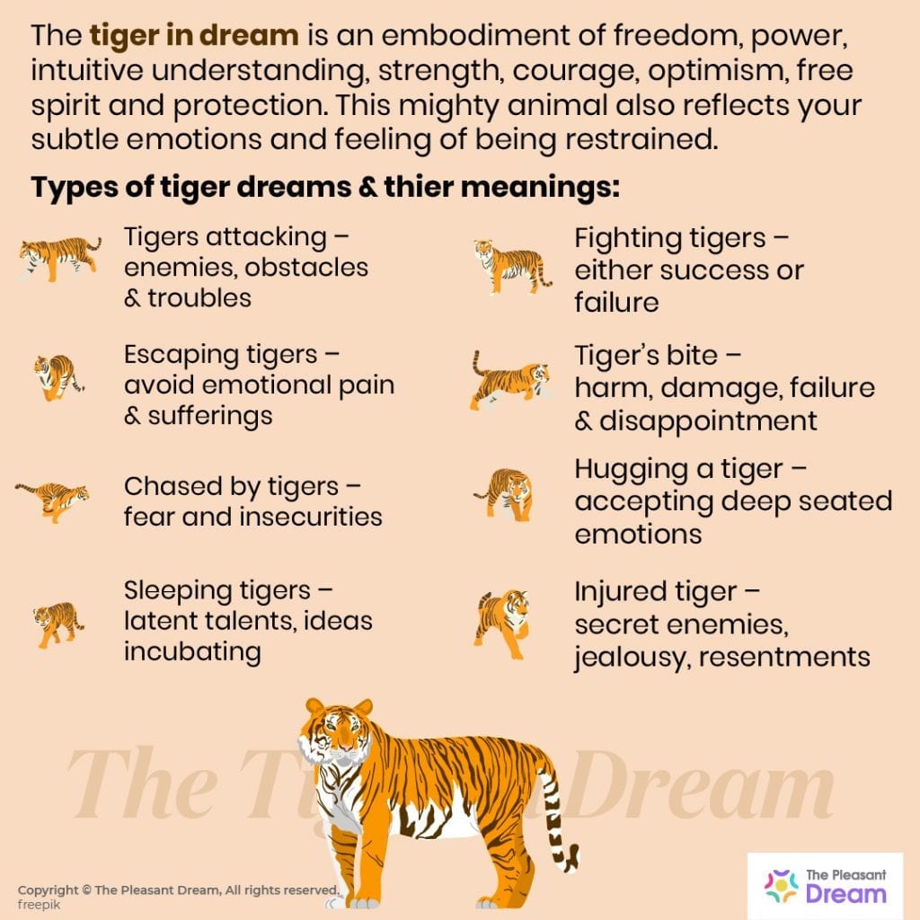 Tiger Dream Meaning – 40 Types of It & Their Interpretations