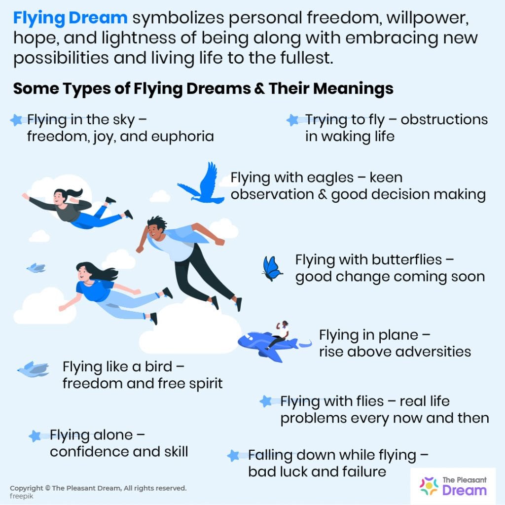 flying trip meaning