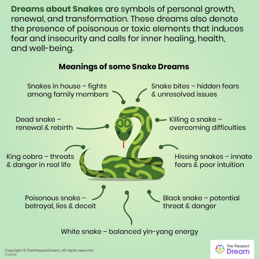 Dreams About Snakes 60 Types Their Meanings Snake Dream Meaning