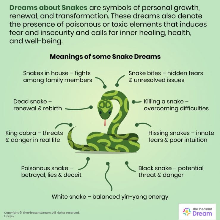 dream of lots of snakes meaning