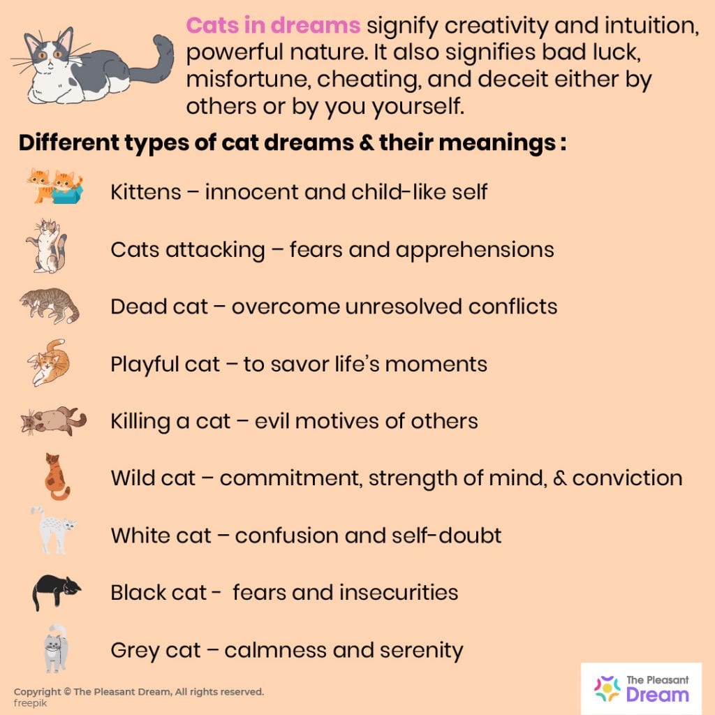 Dreaming of Cats 37 Types of Dreams & its Interpretations