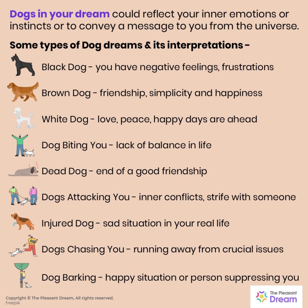 Dreaming Of Dogs 70 Types Of Dreams Their Meanings