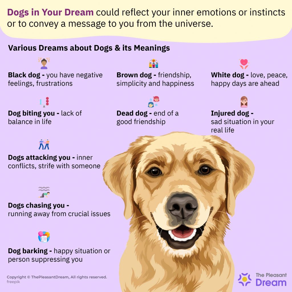 Dreaming of Dogs - 70 Types of Dreams & their Meanings