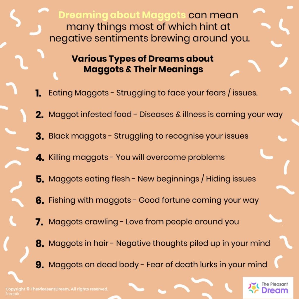 Dreaming of Maggots: 51 Types & Interpretations