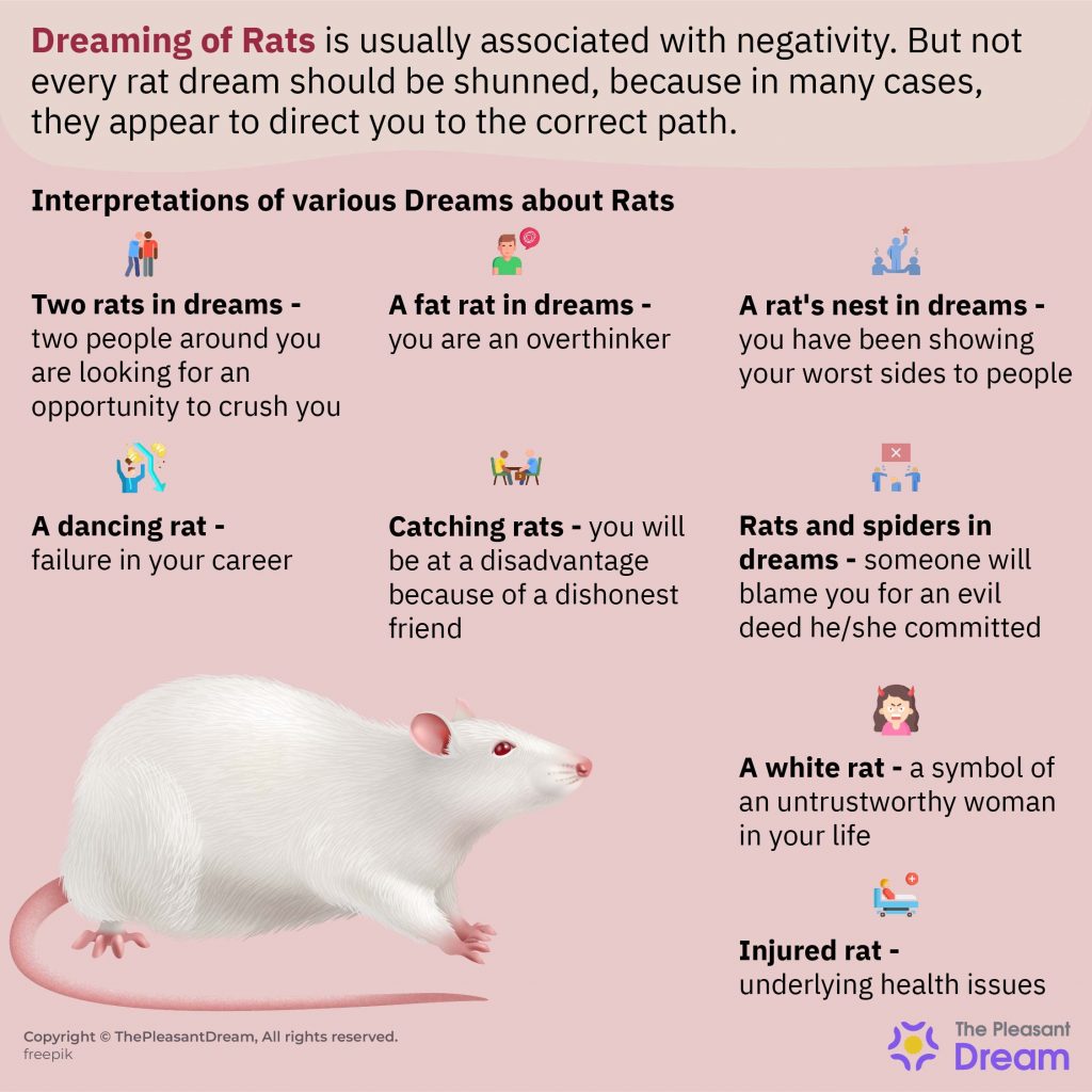 Dreaming of Rats - 150+ Types of Dreams & Their Meanings