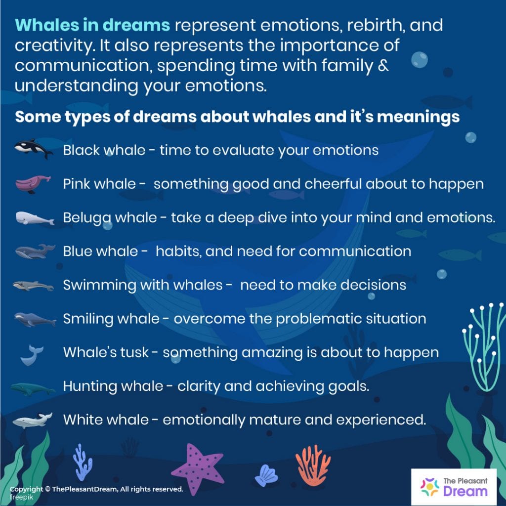 Dreaming of Whales:  50+ Types and Their Meanings