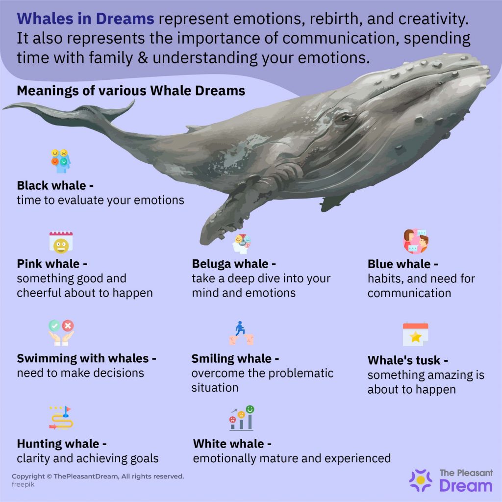 Dreaming of Whales - 50+ Types of Dreams and Their Meanings