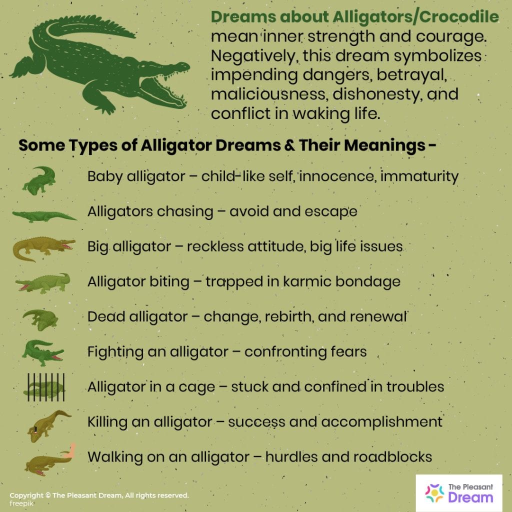 Dreams about Alligators – 40 Types and Interpretation