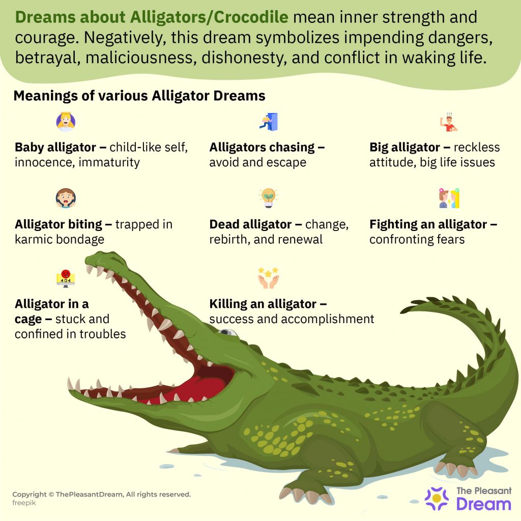 Dreams about Alligators – 40 Types and Interpretation