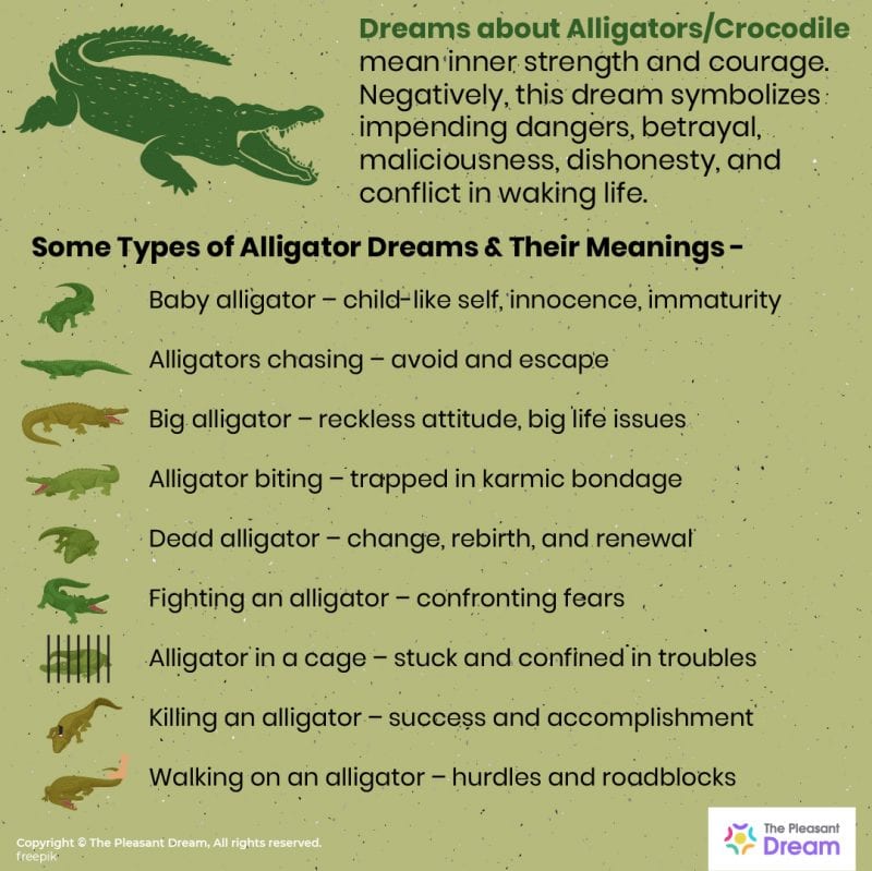 Dreams about Alligators – 40 Types of Dreams & its Meanings