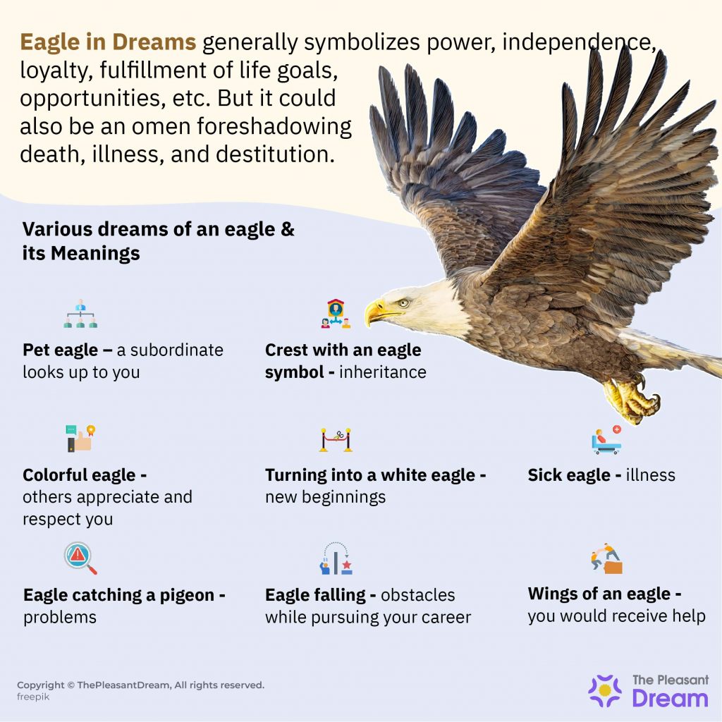 Eagle in Dream - 100+ Dream Scenarios & Their Meanings