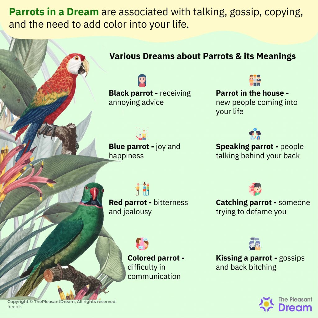 Parrot in Dream - 33 Types of Dreams & their Meanings