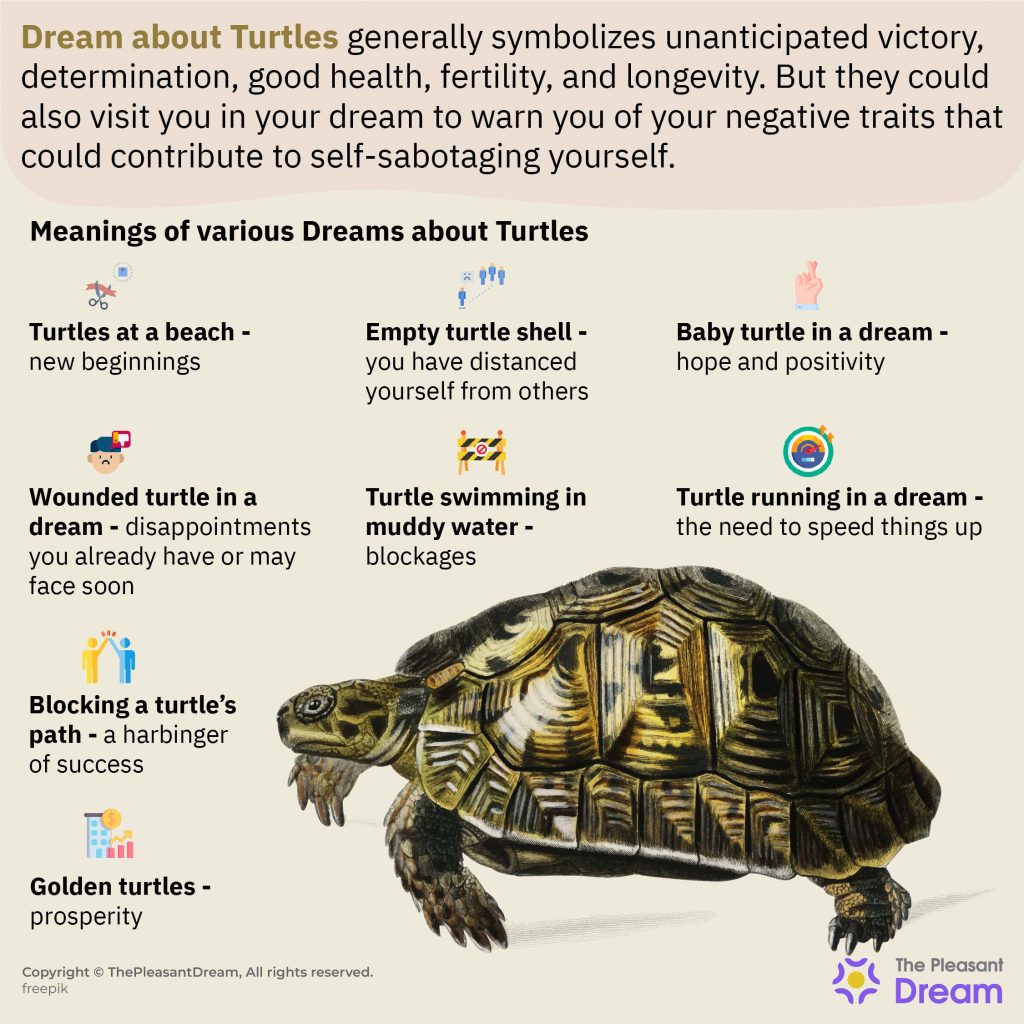 Dream About Turtles - 100 Dream Scenarios & Their Interpretations