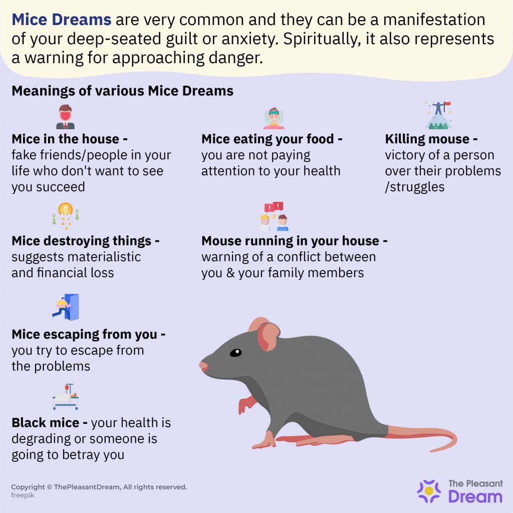 Dreaming of Mice - 48 Types of Dreams & its Meaning