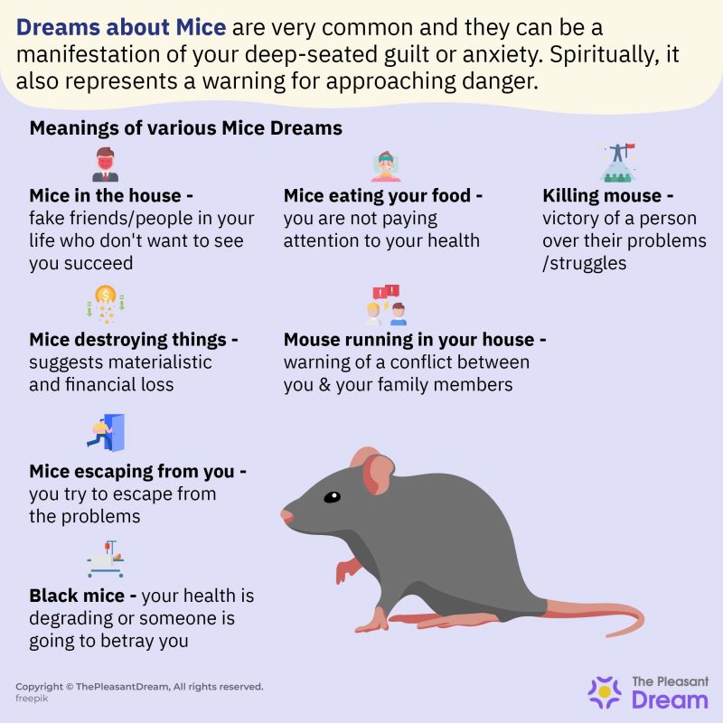 Dreaming of Mice Are You Afraid of Mice in Real Life?