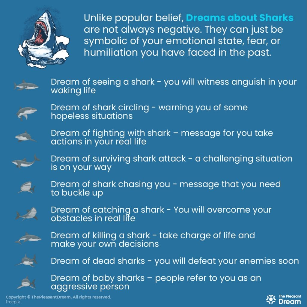 Dream about sharks – 52 Types & its Interpretations