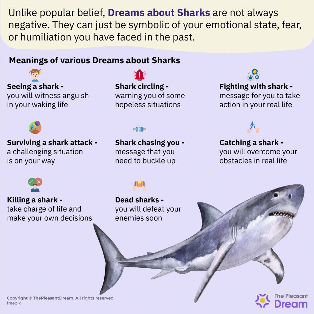 Dream about sharks – Various Types & its Interpretations