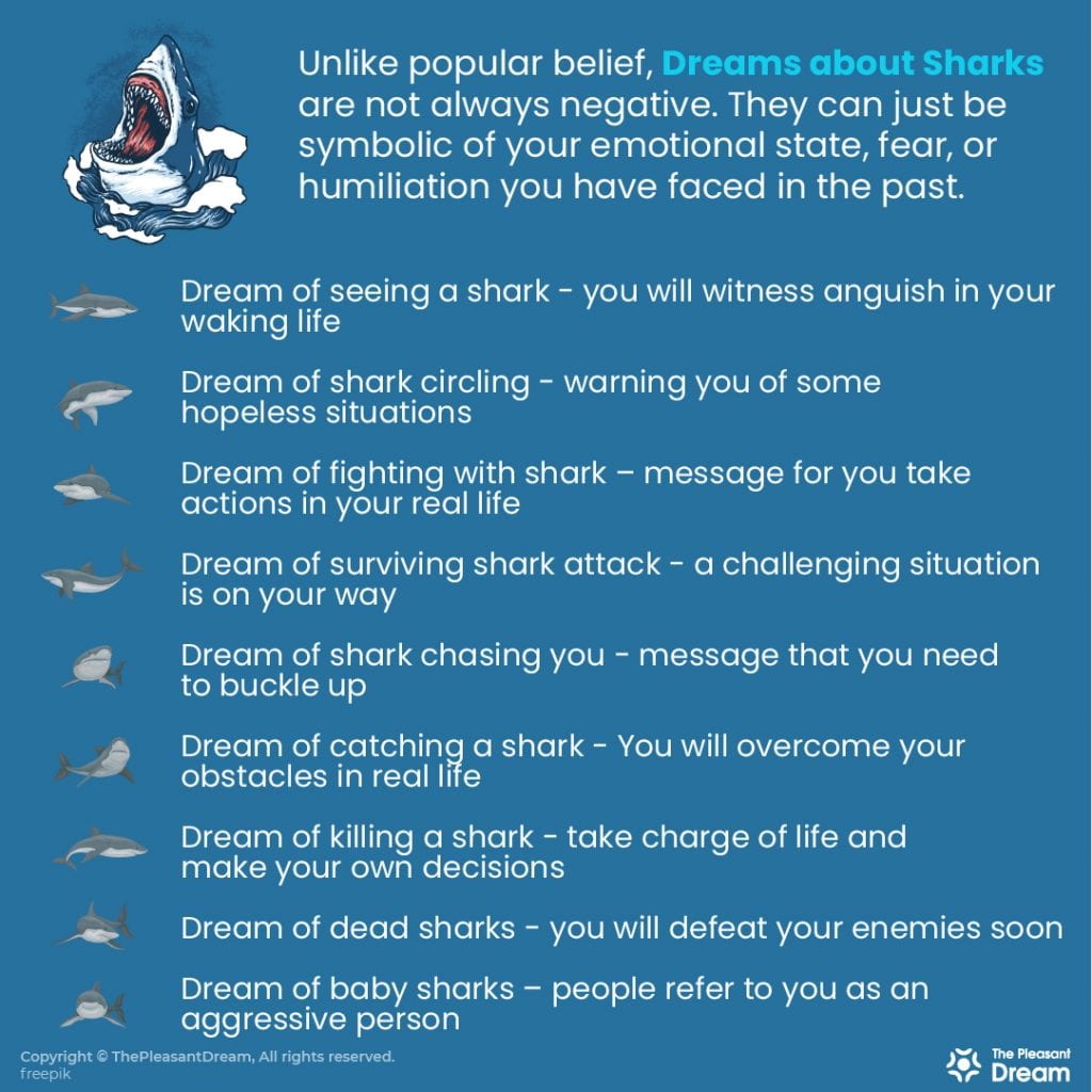Dream about sharks – 52 Types & its Interpretations | ThePleasantDream