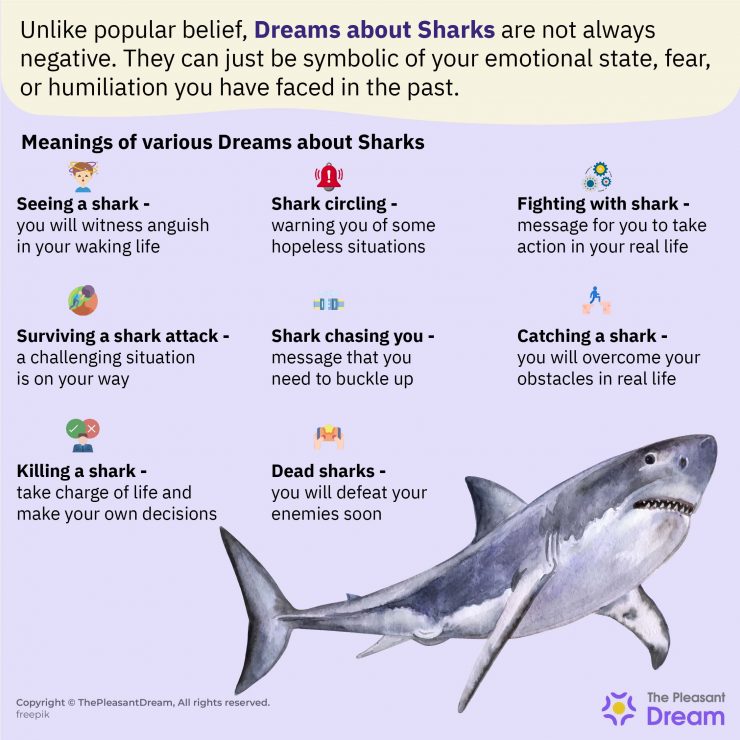 Dreams about Sharks - Want to Try Cage Diving? | ThePleasantDream