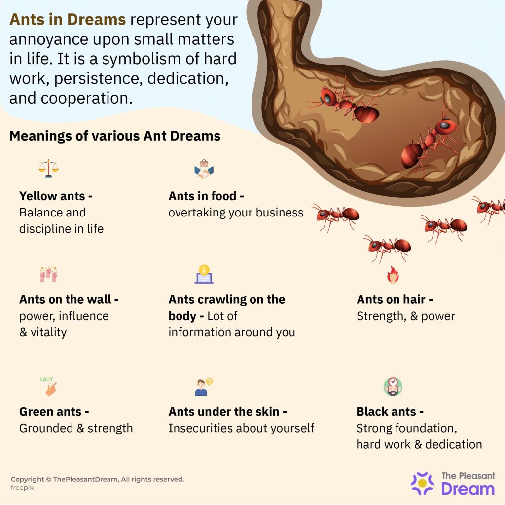 Dreaming of Ants Imparting Lessons of Hard Work & Determination