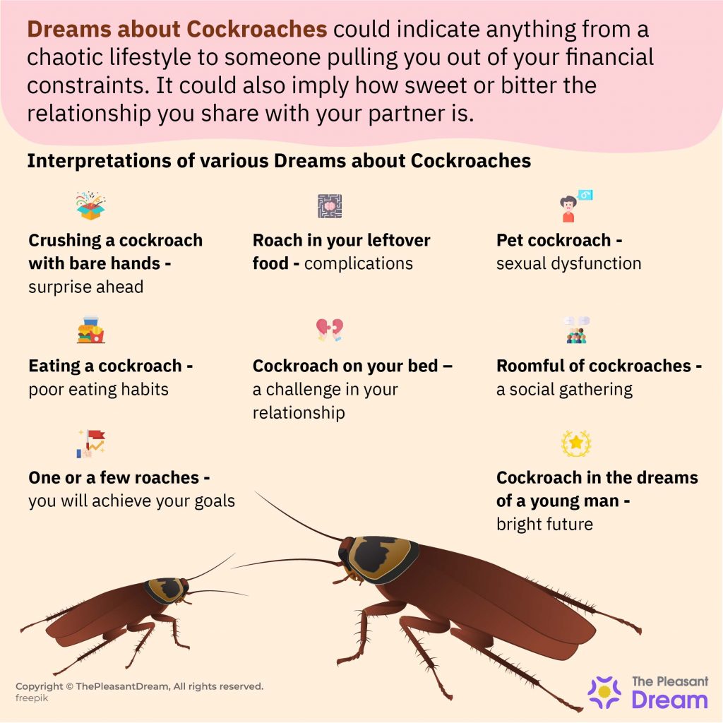 Dreaming of Cockroaches - What It Symbolizes About Waking Life?