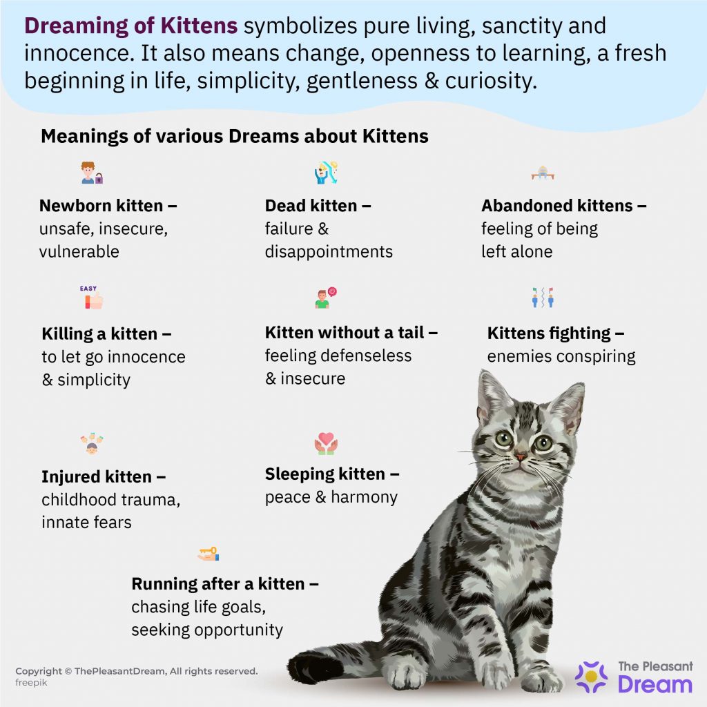 Dreaming of Kittens – Various Dream Scenarios Explained