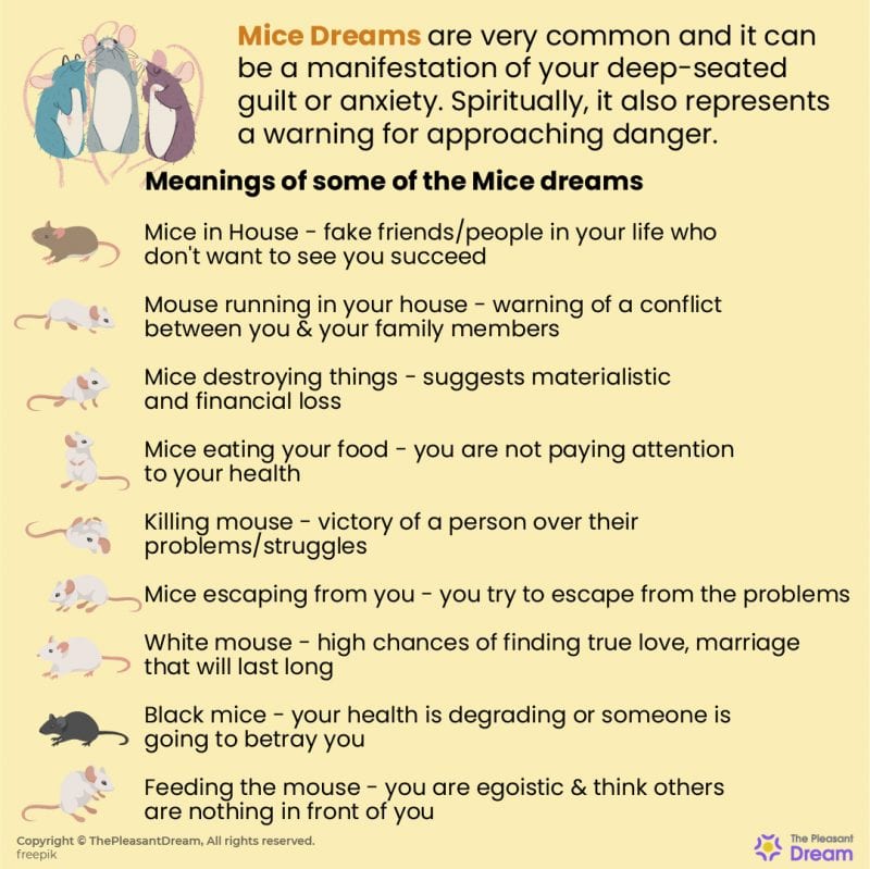 Dreaming of Mice 48 Types of Dreams & its Meaning