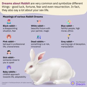 Dreaming of Rabbits - Planning to Adopt the Cute Creature?