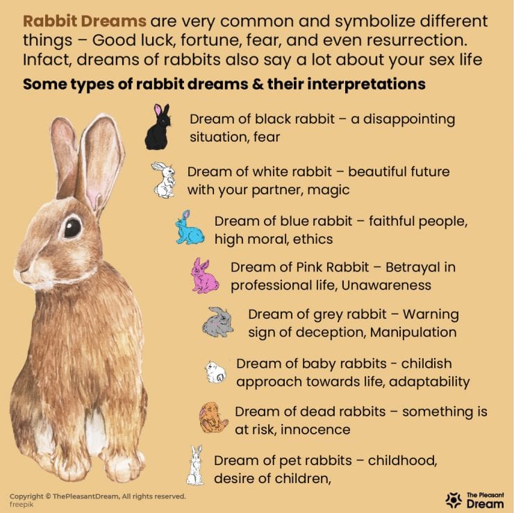 Dreaming of Rabbits – 59 Types and its Interpretation | Dream of Bunny