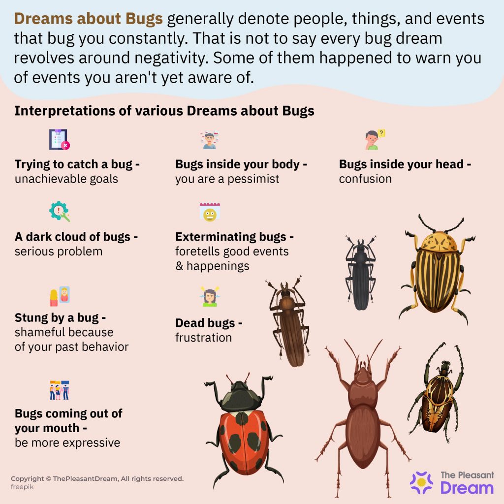 Dreams About Bugs - 91 Scenarios & Its Meanings