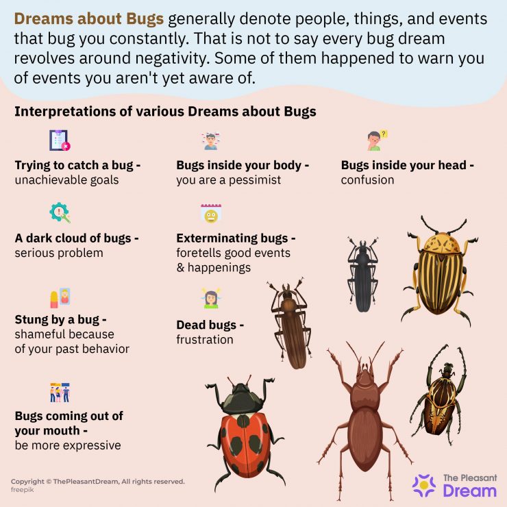 Dreams About Bugs Minor Issues Are Posing a Greater Threat