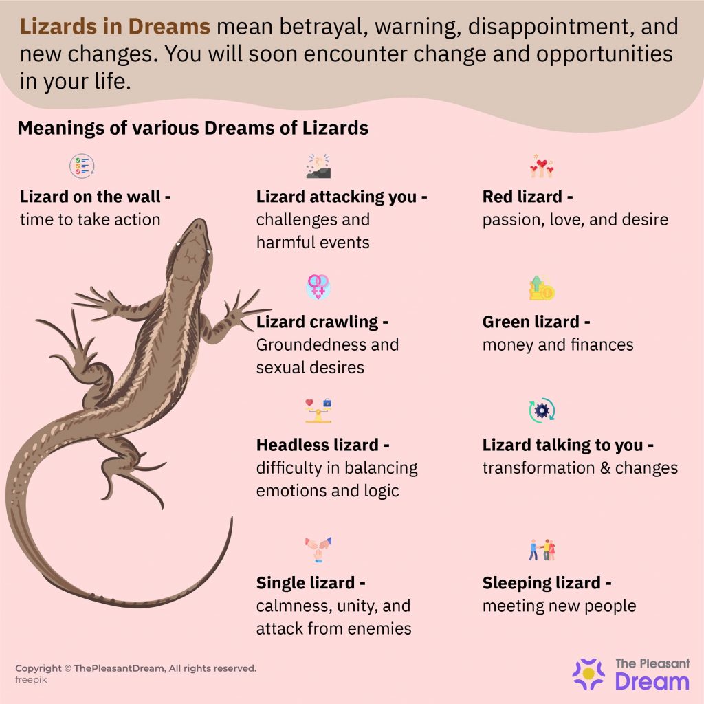 Lizard in Dream - 65 Dream Scenarios & its Meanings  ThePleasantDream