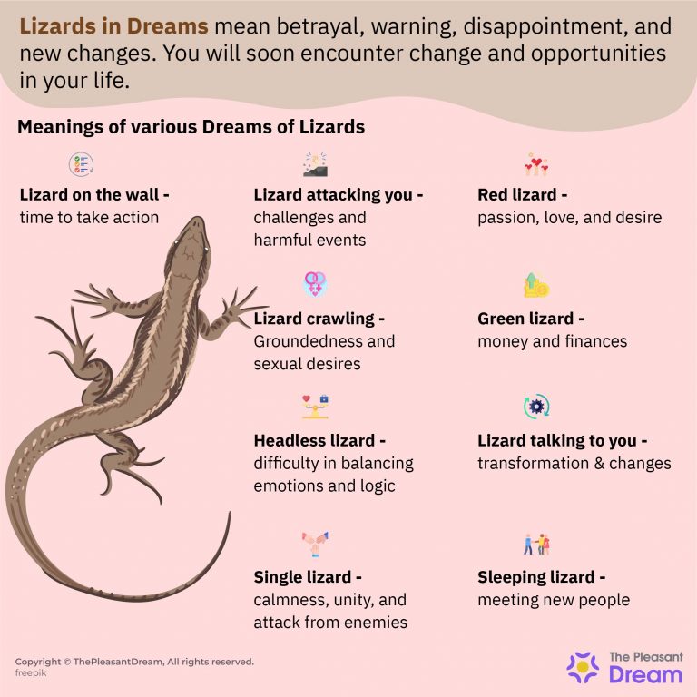 Lizard in Dream Is This Reptile A Good Or Bad Sign?