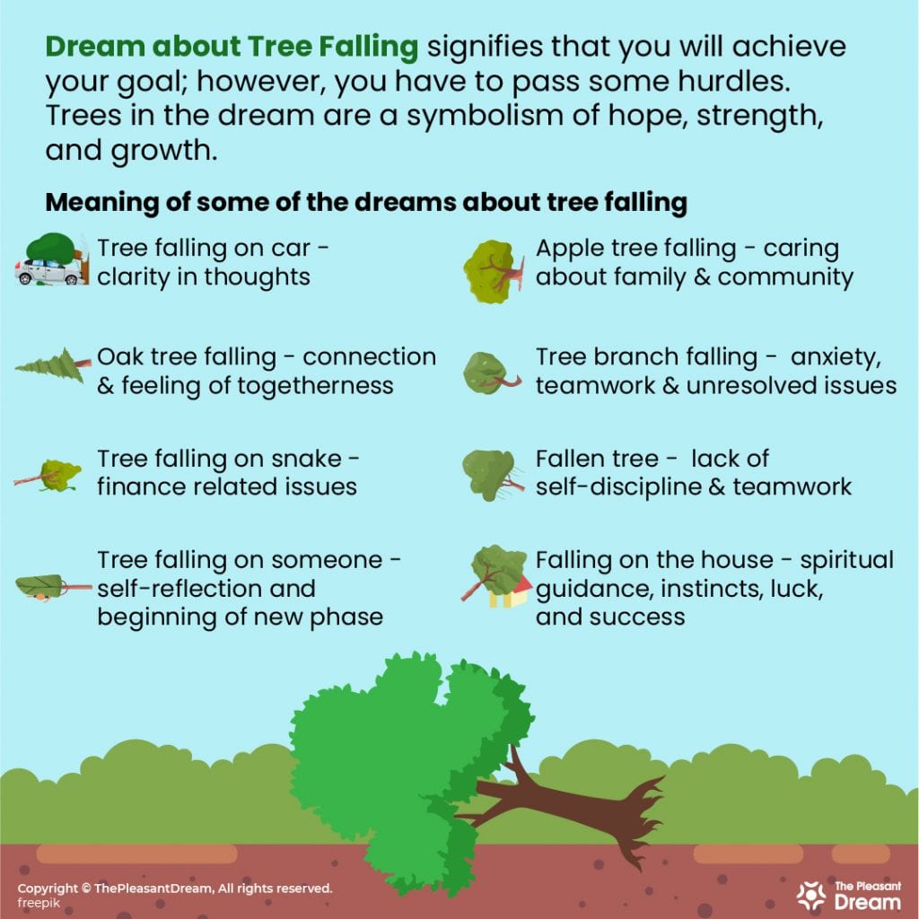 Dream of Tree Falling 20 Types of Scenarios and it's Meanings